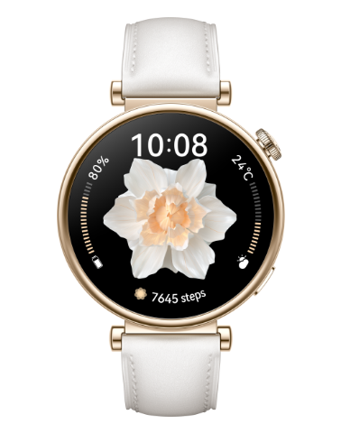 Watch GT 4 (41MM) (ARA-B19) Reparatie
