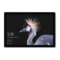 Surface Pro 5